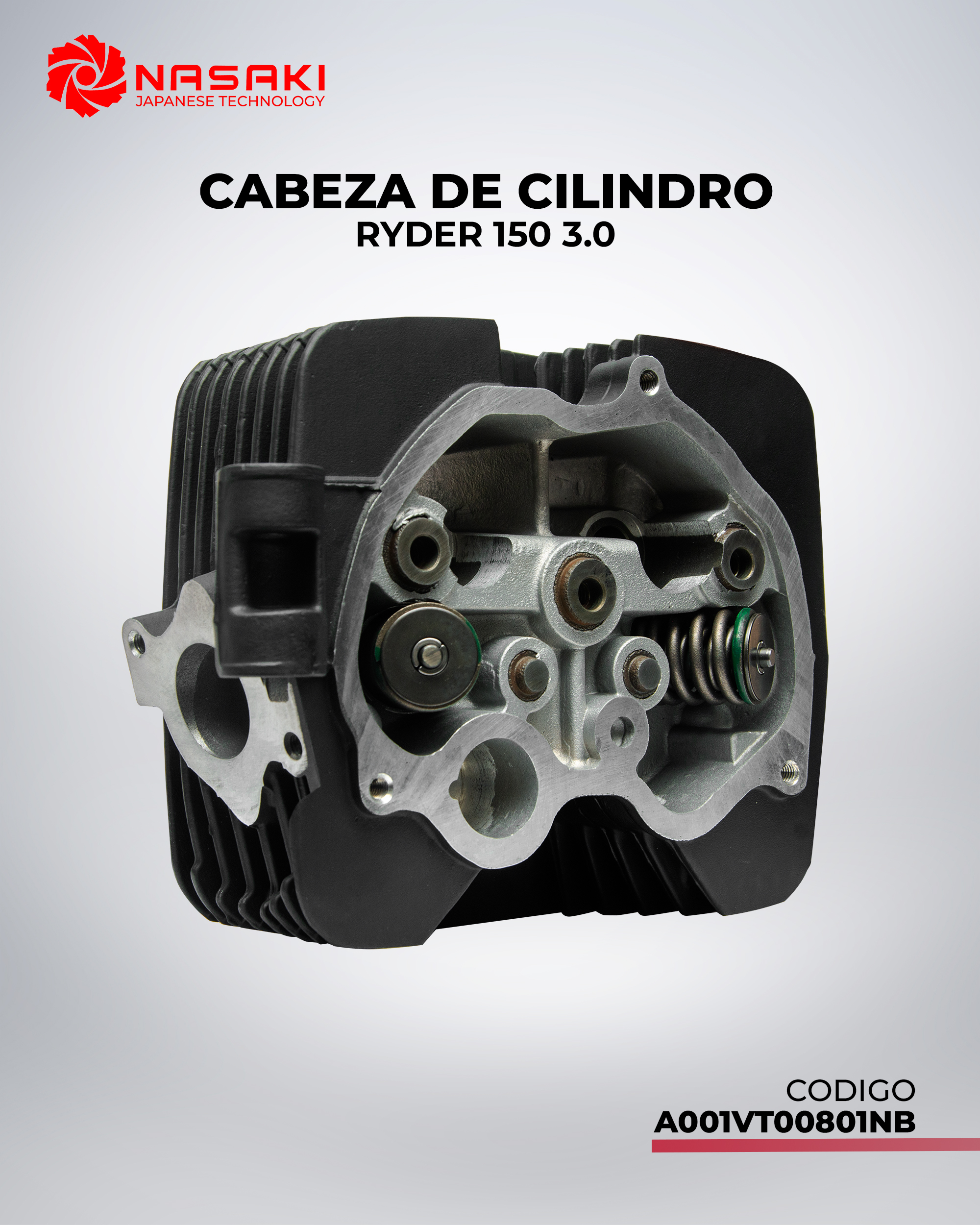 CABEZA DE CILINDRO 