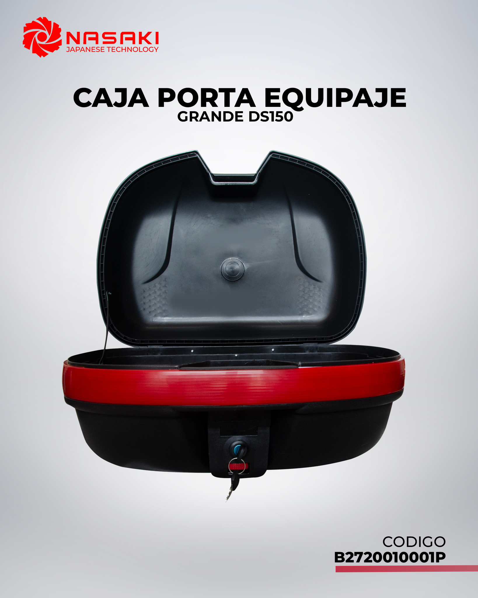 CAJA PORTA EQUIPAJE GRANDE DS150