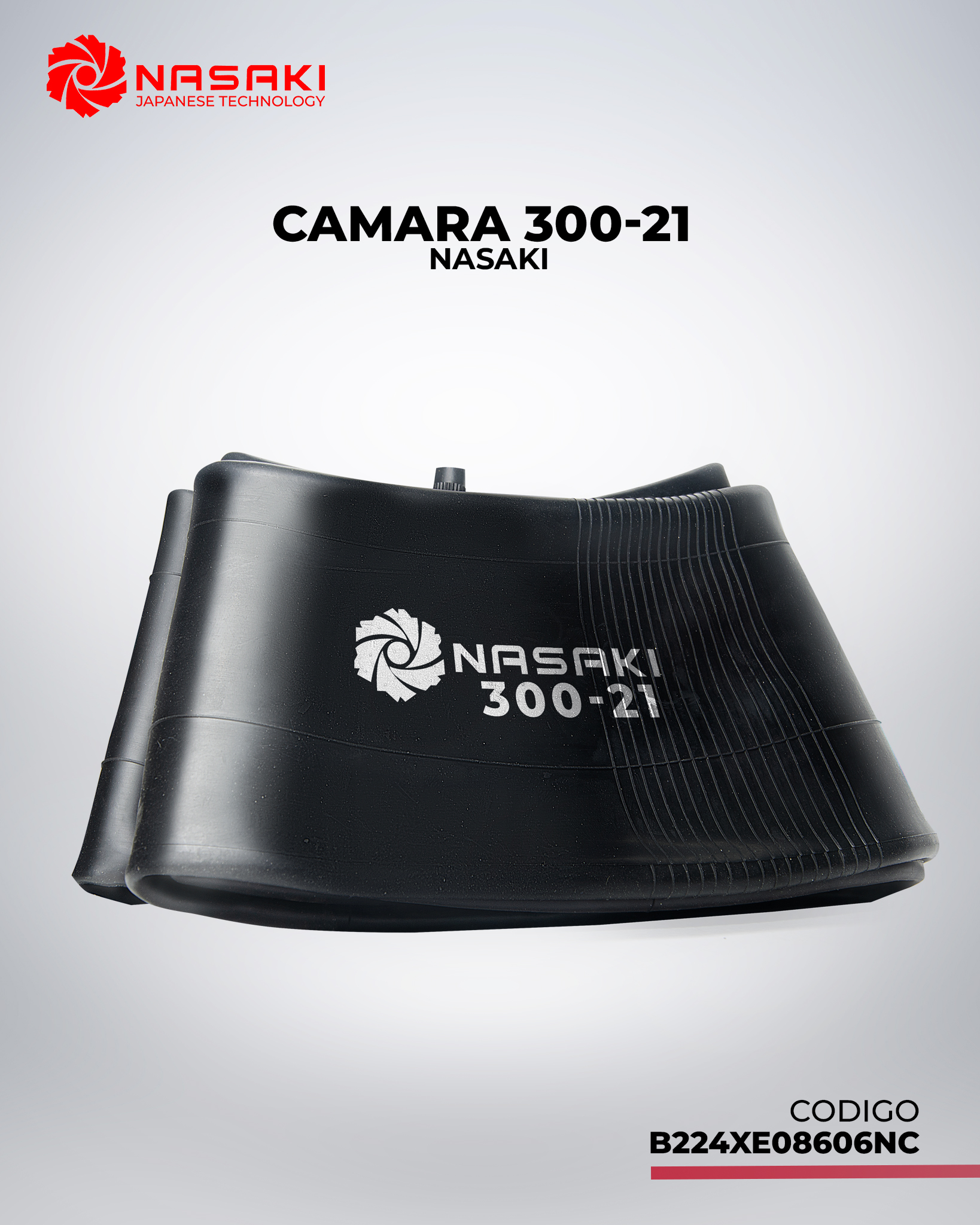 CAMARA 300-21