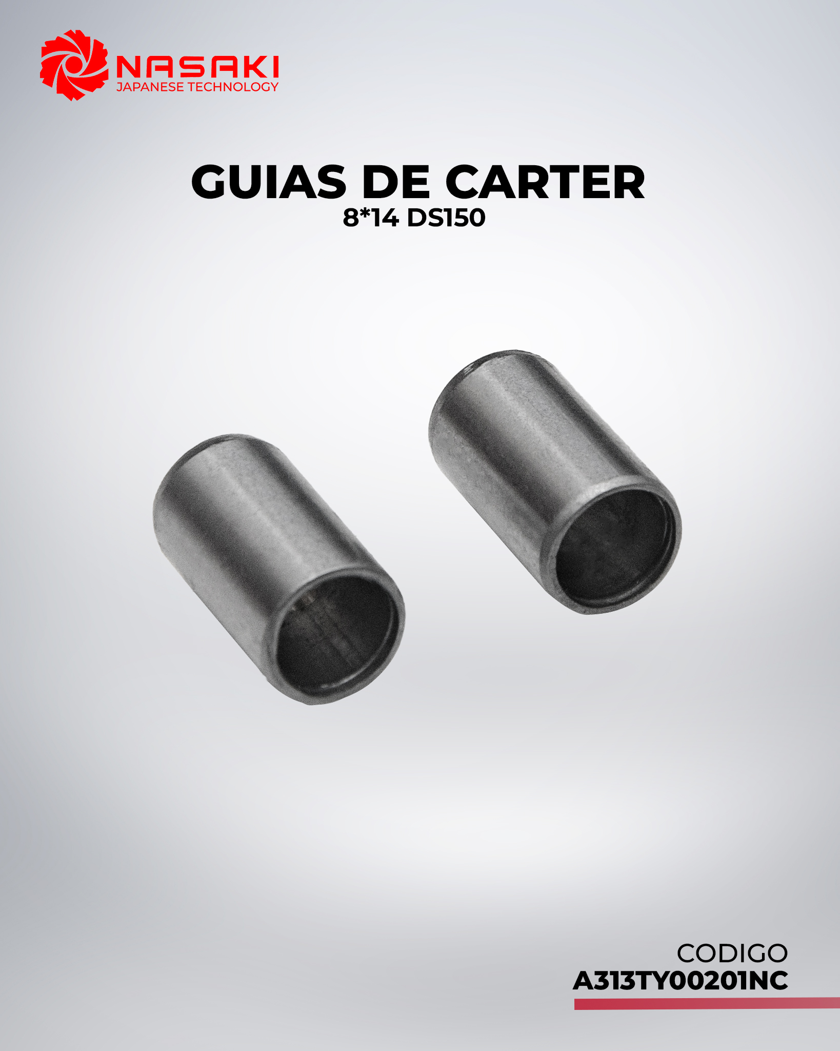 GUIAS DE CARTER f8*14 DS150