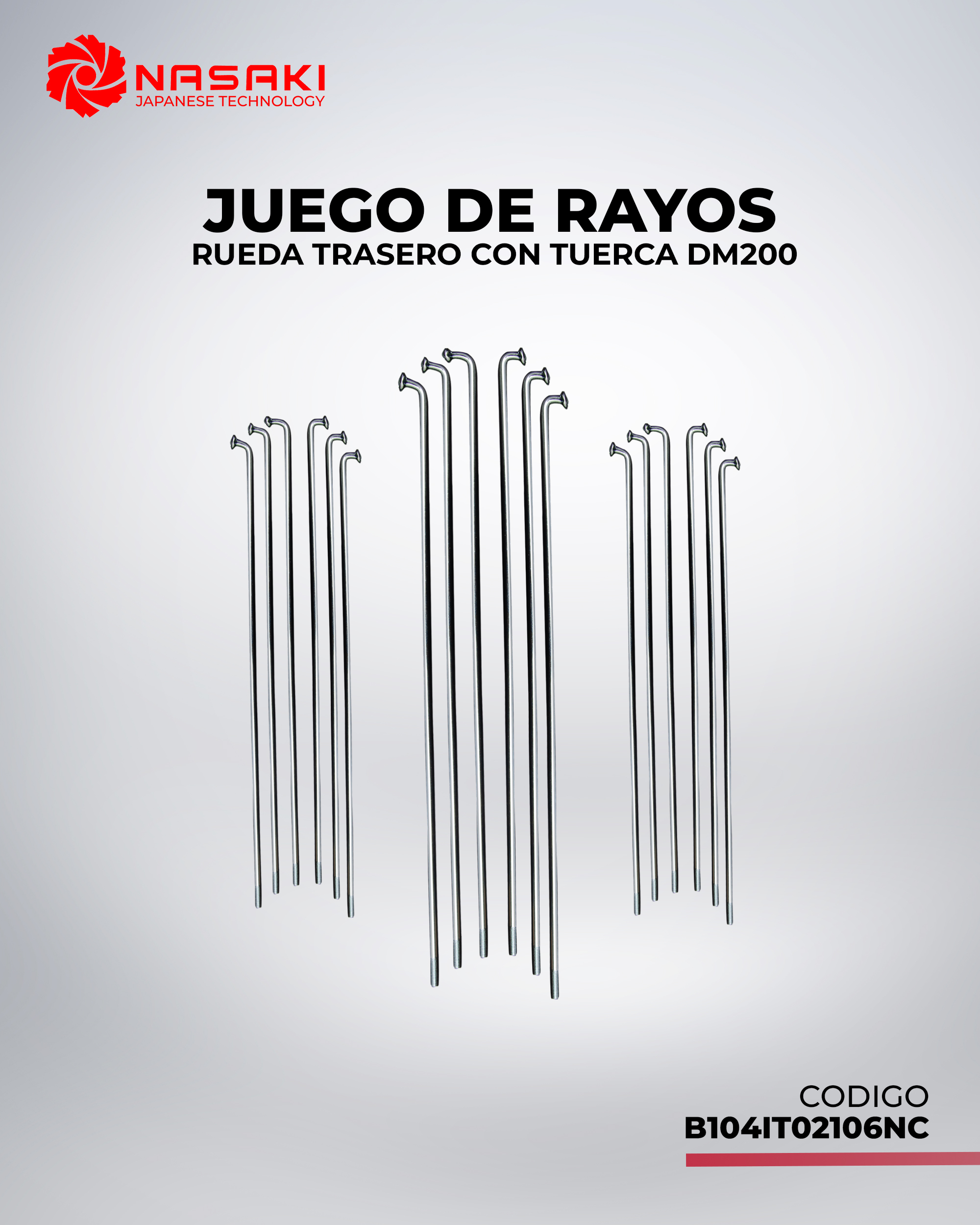 JUEGO DE RAYOS RUEDA TRASERA CON TUERCA DM200