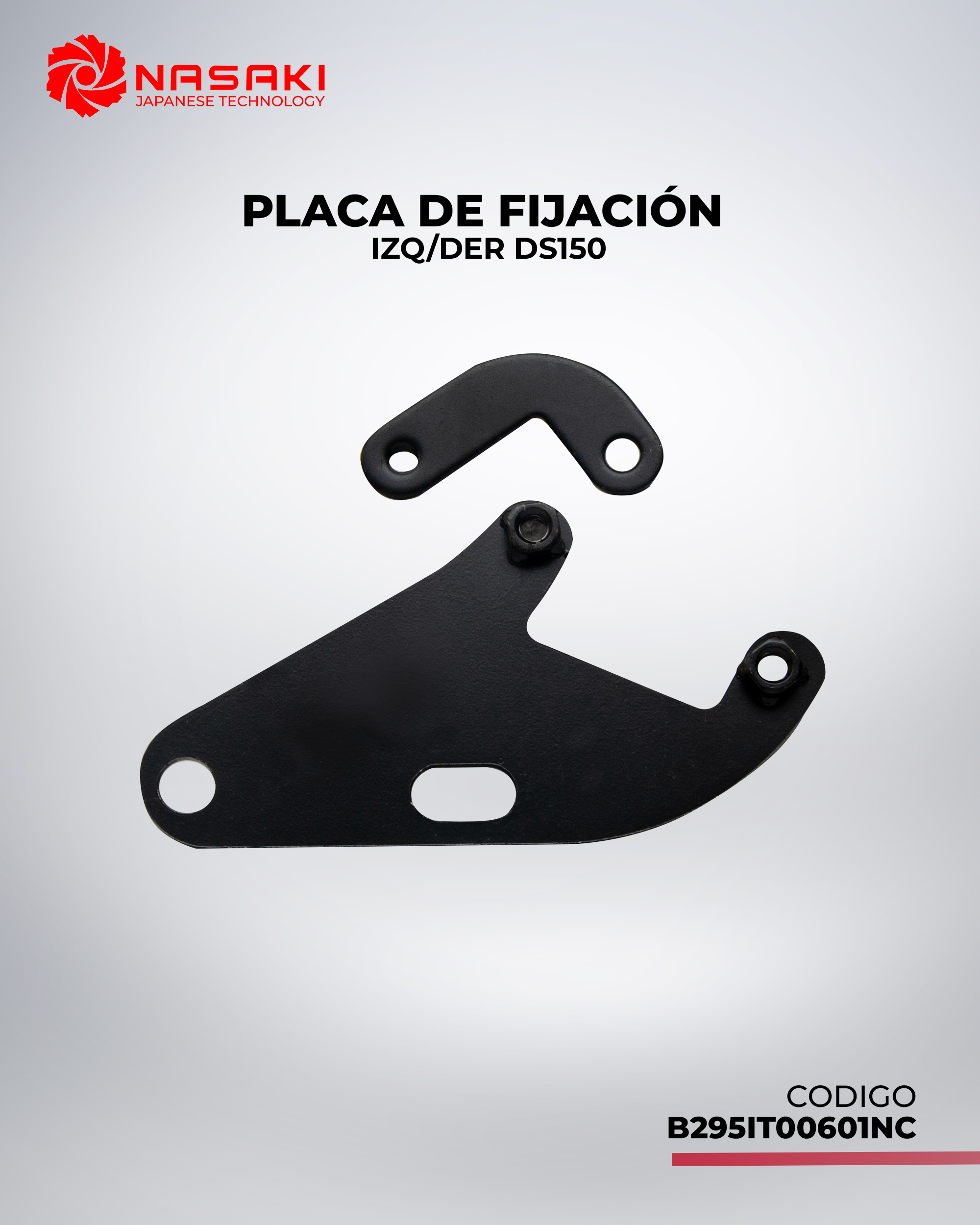 PLACA DE FIJACION DS150