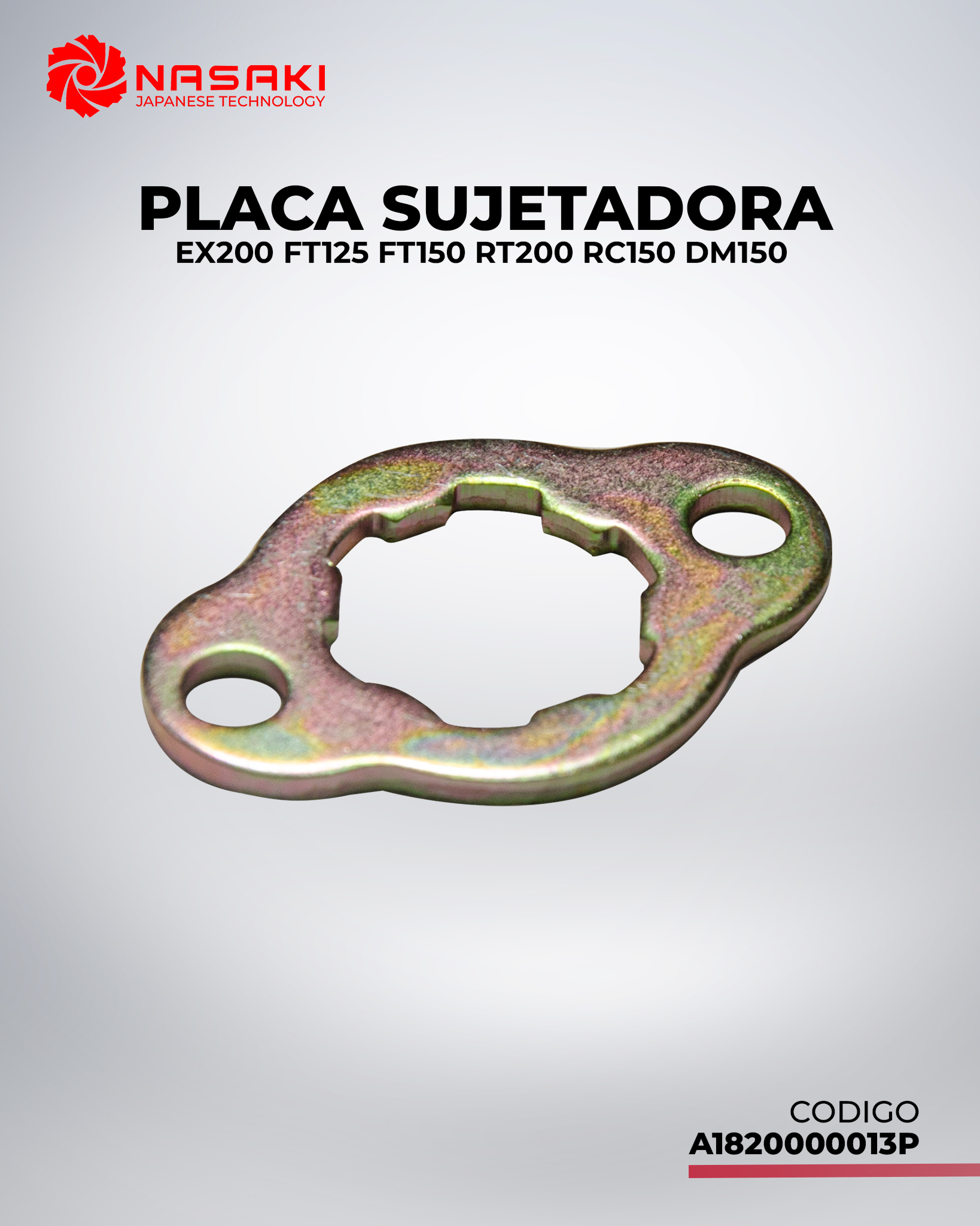 PLACA SUJETADORA (SEGURO DE PIÑON)EX200 FT125 FT150 RT200 RC150 DM150