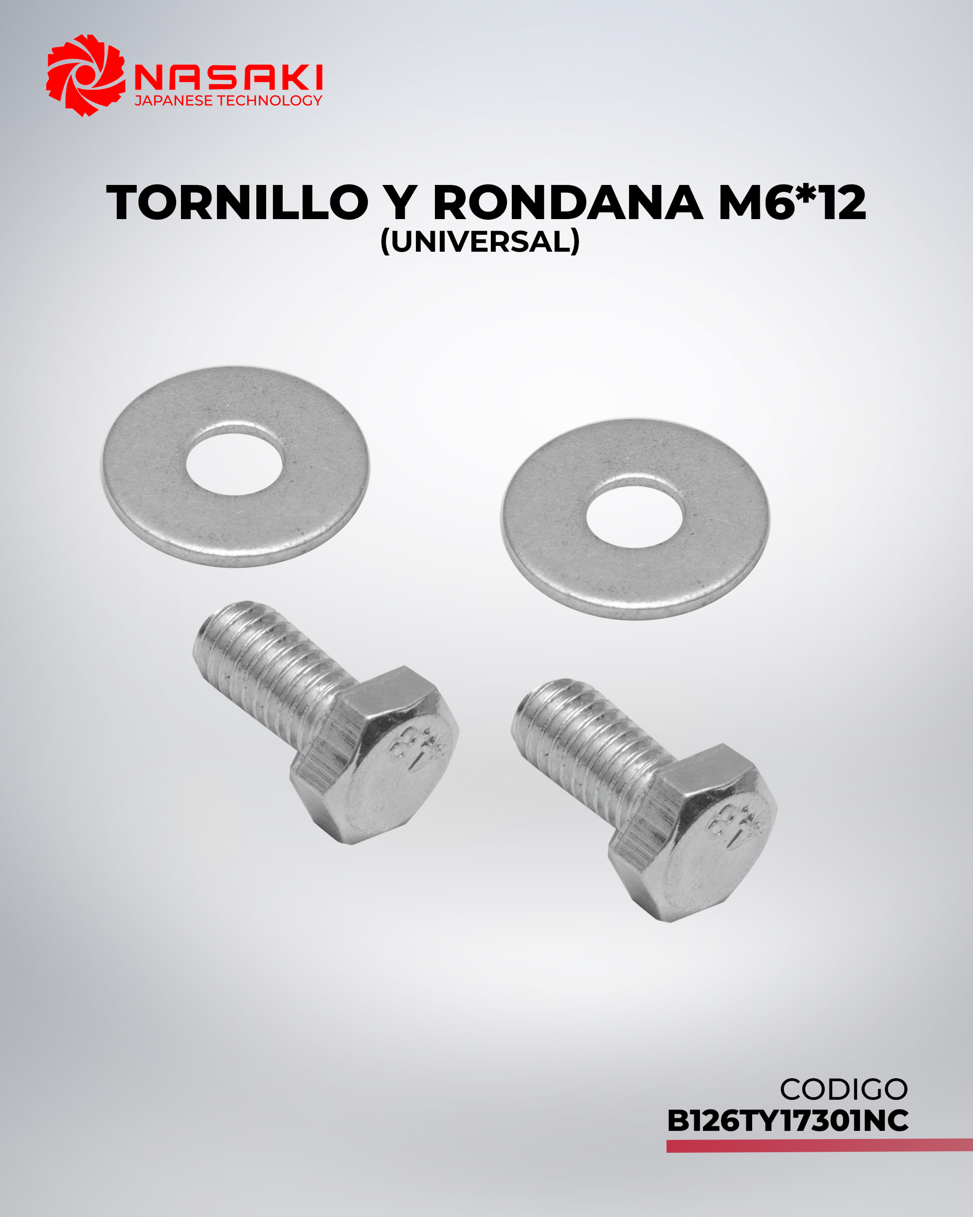 TORNILLO Y RONDANA M6*12