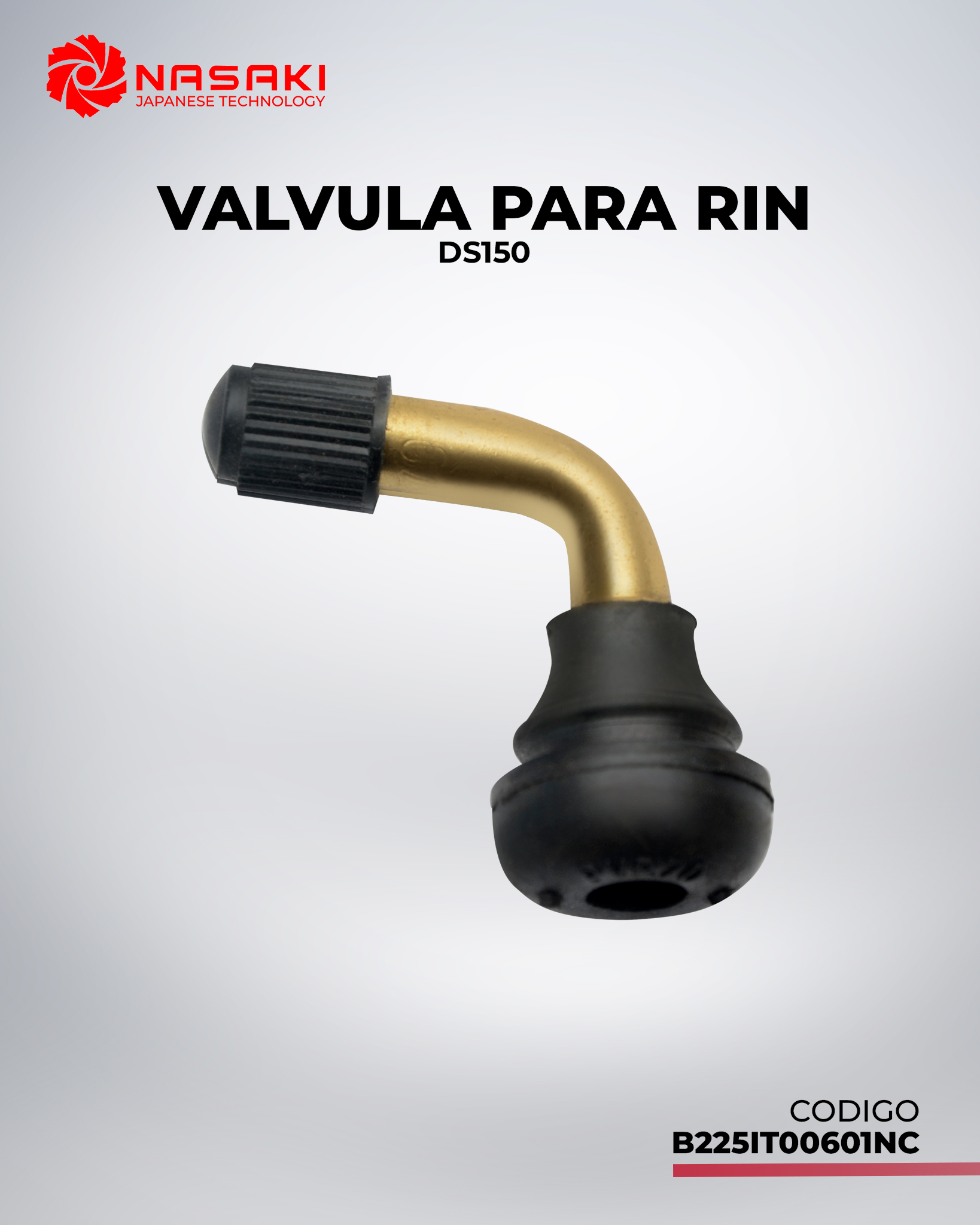 VALVULA PARA RIN DS150