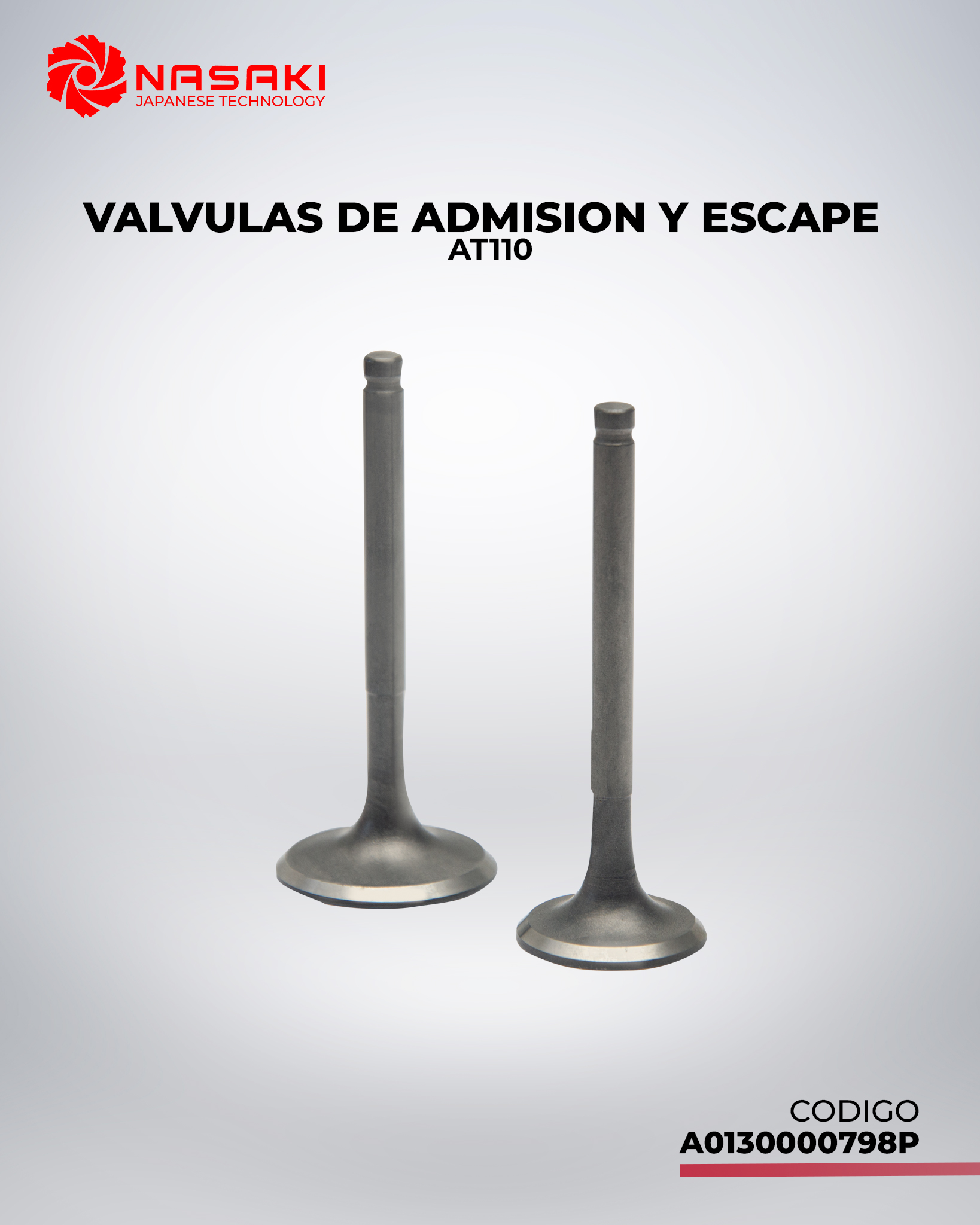 VALVULAS DE ADMISION Y ESCAPE AT110