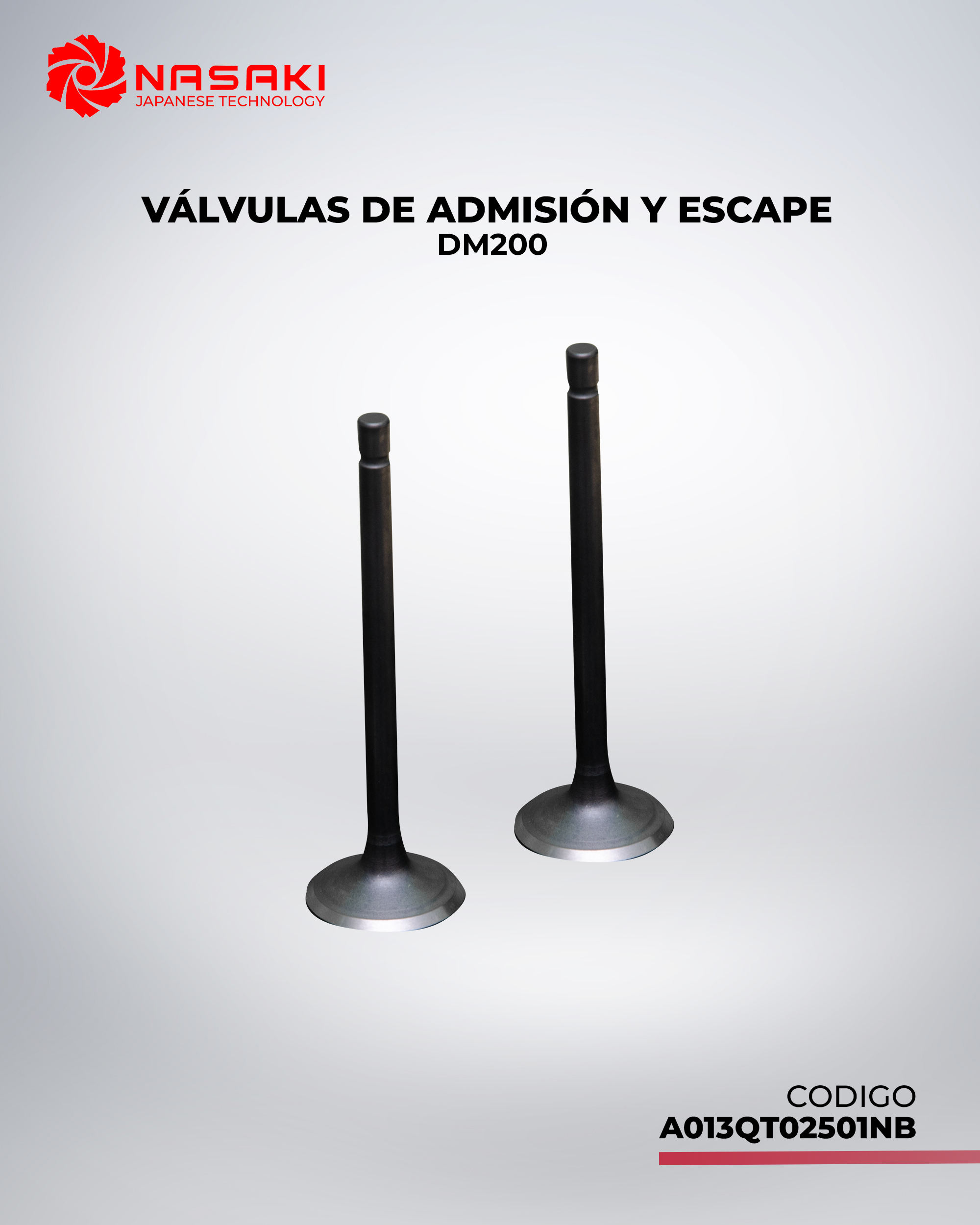 VALVULAS DE ADMISION Y ESCAPE DM200